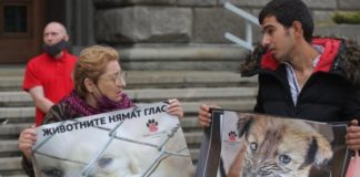 Десетки излязоха на протест в защита на животните