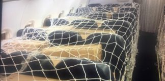 Пристигна втора пратка лекарства и предпазни средства от Китай