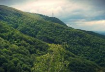 Издирват жена, изчезнала на Витоша