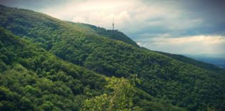 Започнаха проверки на имоти във вилна зона „Витоша“