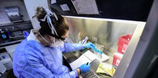 СЗО: Новият коронавирус е с естествен произход