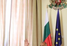 Борисов на видеосреща с евролидери: Настоящата ситуация показва колко свързани и взаимно зависими сме