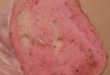 Убиват кучета с отровни филии хляб във Варна