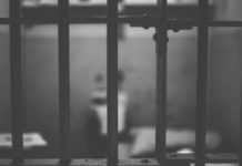 Арестант избяга от районното в Стамболийски, заловиха го след издирване с дрон и куче