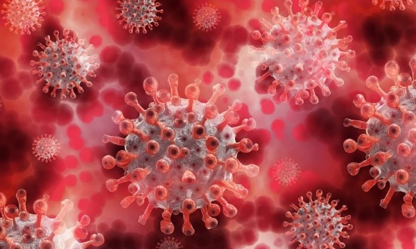 1350 са новите случаи на коронавирус у нас през изтеклото
