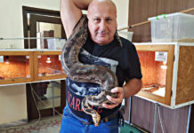 Черна мамба ухапа ветеринарен лекар в Хасково