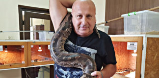 Черна мамба ухапа ветеринарен лекар в Хасково