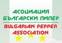 „Български пипер“ се разграничава от секретаря Георги Василев: Позицията на асоциацията не се покрива с мнението му