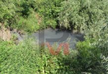 Река Русенски Лом посиня