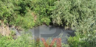 Река Русенски Лом посиня