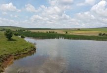 17-годишен се удави пред приятелите си, те 2 дни не казват на никого