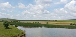 17-годишен се удави пред приятелите си, те 2 дни не казват на никого