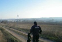 40 полицаи с кучета преследваха из Родопите затворник