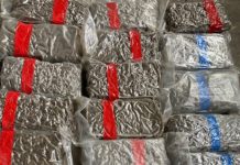 Митничари заловиха над 200 кила дрога на Капитан Андреево