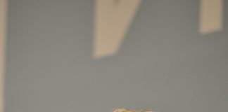 Доган: Връщам се не по своя воля, а по политическа необходимост