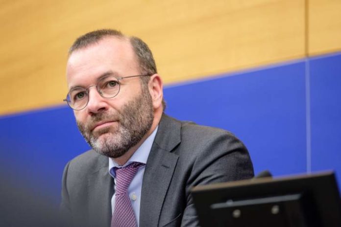 манфред вебер-енп