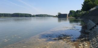 Издирват 15-годишно момче в Дунав