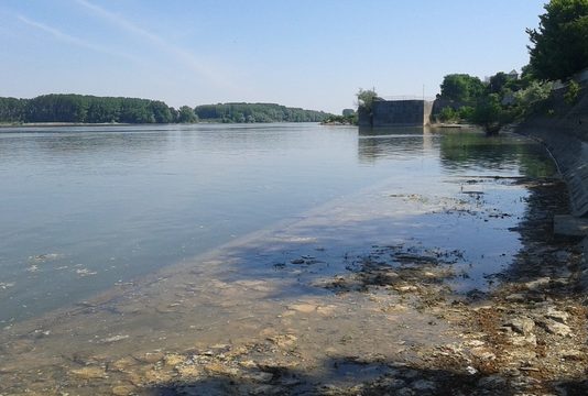 Откриха тялото на издирвана жена във водите на Дунав