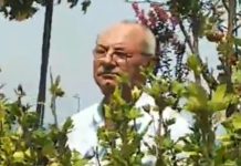 Доган щял да прави нова партия