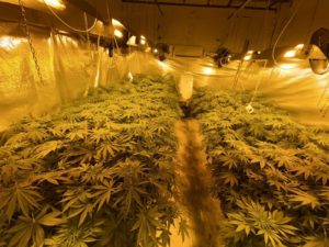 нарколаборатория