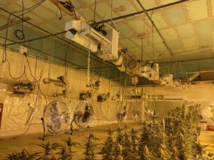 нарколаборатория