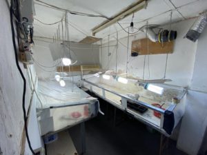 нарколаборатория