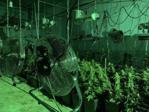 нарколаборатория