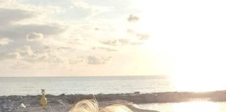 Българка убита в Калабрия, открили я покрита с кърпа в леглото й