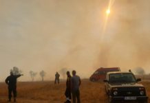 Потушен е пожарът в Хасковско