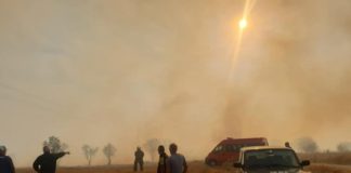 Потушен е пожарът в Хасковско