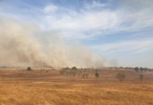 100 хил. дка обхващат пожарите в Хасковско