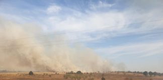 100 хил. дка обхващат пожарите в Хасковско