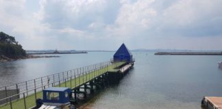 Слави Трифонов: Заради действията на Гроздан Караджов ще бъде съборен кеят на Доган