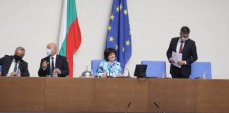 Майките на Манолова се настаниха във фоайето на парламента, Караянчева се чуди какво правят там