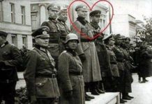 Русия като правоприемник на СССР дължи извинение на българския народ за нещастията през 1944 г.