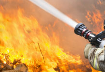 Над 100 животни изгоряха при пожар във ферма край Лясковец