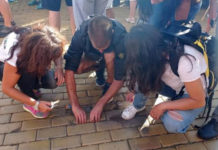 „Въстаници“ се чудели как никой досега не им е споделял, че могат да използват павета