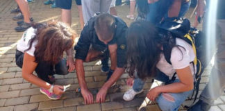 „Въстаници“ се чудели как никой досега не им е споделял, че могат да използват павета