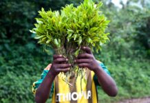 Задържаха 4 израелски момичета с наркотик кхат за 3 млн. лв. на летище Варна