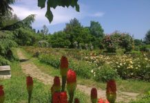 Прокуратурата нареди проверка в Ботаническата градина във Варна