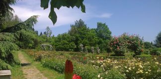 Прокуратурата нареди проверка в Ботаническата градина във Варна