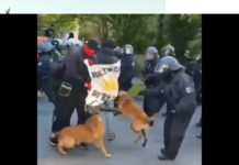 Ето как германската полиция разгонва мирна демонстрация /видео/