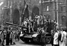 „Братски“ отношения с Кремъл не може да имаме, защото руснаците разбират „братството“ като слугинаж пред тях