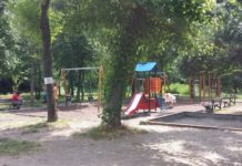 Дърво падна върху дете в пловдивски парк