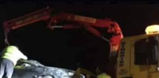 Полицейски шеф излетя от мост и загина