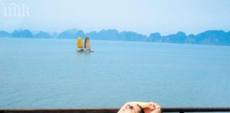 Не те ли е срам, Вигенин!