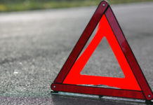 Кола се блъсна в кон, после в дърво – шофьорът загина