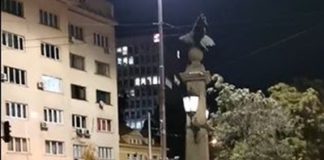 20 души от „Системата ни убива“ блокираха „Орлов мост“, наричат гневните шофьори „животни“ и тъп български народ (ВИДЕО)