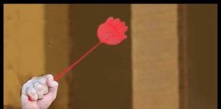 Само на Радев ли е позволено да се възторгва от фашистки учени, или може и ние