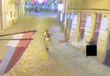 Стрелецът във Виена – албанец на 20 г., осъждан за тероризъм